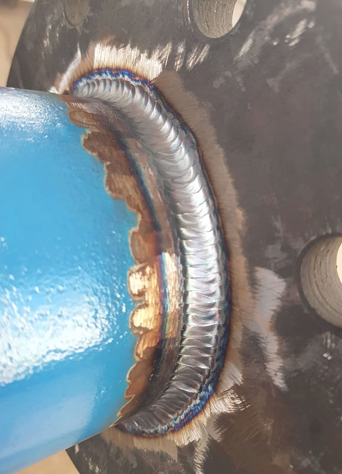 Imagem - Portfólio - Aliamça - 15