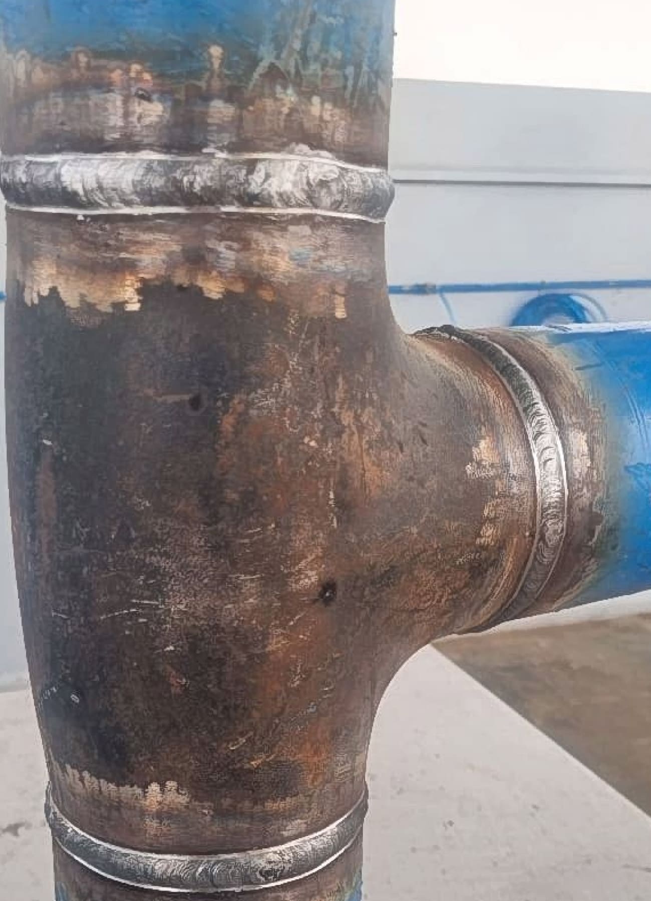 Imagem - Portfólio - Aliamça - 16